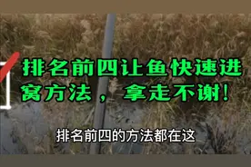 排名前四让鱼快速进窝方法 ，需要的请拿走 ！