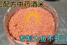 干货：野钓酒米绝密配方，专攻大体型鱼种，鲫鲤扁草通杀！