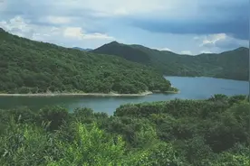 绿会辽阳瓦子沟苍鹭保护地视频封面