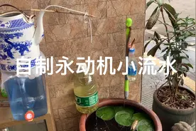 零成本自制永动机小流水，鱼缸免换水，水质清，鱼儿活跃简单易学视频封面