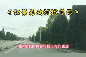 如果我打扰了你的生活，华丽转身的那一刻将不再是拥有