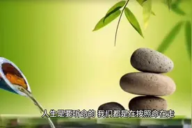 曾仕强国学智慧：据说那些命好的人，读完此文都是一点就透。视频封面