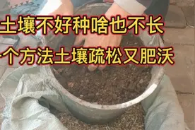 土壤不好种啥也不长，一个简单不花钱的方法，土壤疏松又肥沃视频封面