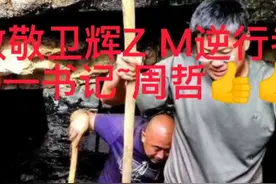 致敬最美逆行者~卫辉第一书记周哲👍👍视频封面