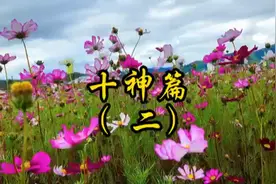 第2集｜什么是偏印偏官和偏财？六亲关系里，各自代表了什么？