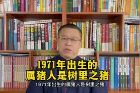 十二生肖讲解：1971年出生的属猪人是什么样的人？视频封面