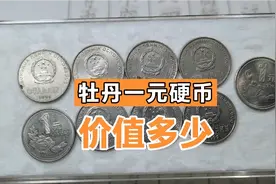 90年代发行的牡丹一元硬币，收藏价值大不大？现在增值了没有视频封面
