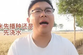 夏玉米先播种后浇水还是先浇水后播种呢？听听专家怎么说？视频封面