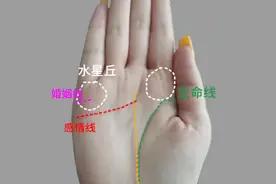 掌色莹润，纹路清晰少杂纹，上等手相。