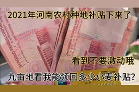 今年河南周口农村地亩补贴下来了，还不错，看看九亩地领回多少钱视频封面