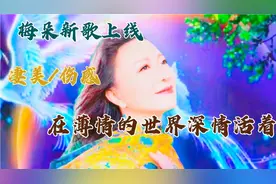 🔥🔥新歌:梅朵演唱《在薄情的世界深情活着》凄美.忧伤.好听极了视频封面