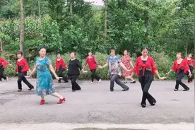 《语花蝶》农村大妈广场舞，老少皆宜，公路当广场也跳的劲头十足视频封面