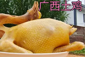 广西山里人这样吃土鸡！土鸡整只用白开水煮，会好吃吗？流口水了