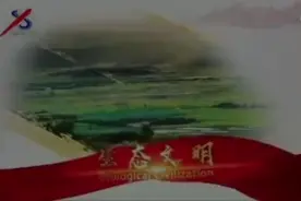 茶叶软黄金——茶黄素视频封面