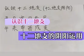带你初步了解认识十二地支，十二地支的阴阳顺序视频封面