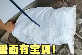 废品站里的垃圾袋里藏有什么宝贝？只有运气超好才能遇见！视频封面