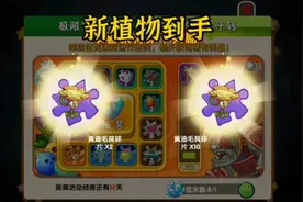 植物大战僵尸2：新植物黄油毛茛白嫖到手视频封面