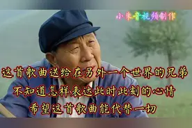 这首《好兄弟》送给另外一个世界的兄长。希望他没有BT，没有FN。视频封面