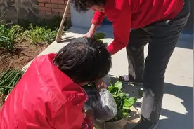 从农村返回市里，老妈大袋小袋往车里塞，回家一趟像打劫似的！视频封面