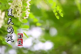 温岚一首《夏天的风》，由周杰伦作曲，带你回到记忆中的夏天视频封面