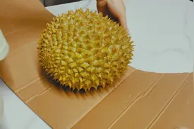 今天我们来开个干尧榴莲，105元买回来的，大家看亏不亏。视频封面