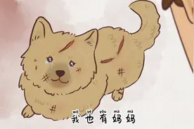 小狗旺财被一男子砍断舌头，原因竟然是……小主人知道后抱狗痛哭视频封面