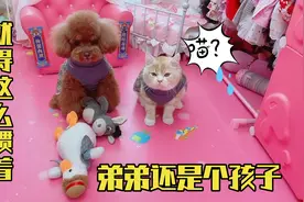 艾米说弟弟还是个孩子，就得这么惯着