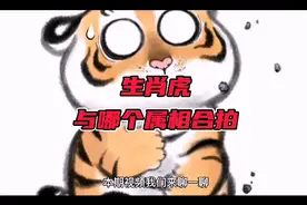 生肖虎与哪个属相合拍？看看有你吗？视频封面