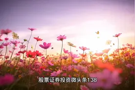 股票证券投资微头条138