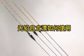 无铅自立漂如何使用？方法正确钓得更远，发挥最大优势钓更多鱼！