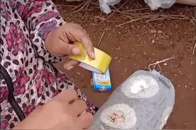 香菇菌棒杀菌治疗，缺氧脱袋视频封面