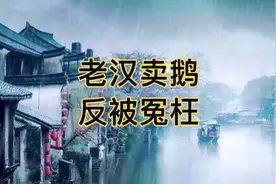 善良的刘老汉卖大白鹅，不缺斤少两，反被城管抓起来指责卖病鹅视频封面