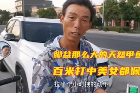 脚盆那么大的天然甲鱼，师傅百米打中，围观的美女都佩服！视频封面