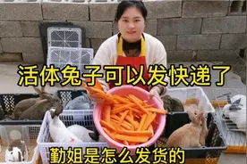 活体兔子发快递了，勤姐从选兔子打包到发货流程，朋友们看看视频封面