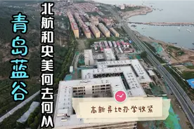 文件下来异地办学收紧，涉及青岛蓝谷两所双一流，北航和美院咋办视频封面