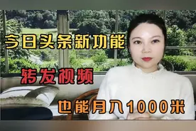 今日头条新功能 转发视频 也能月入1000米视频封面