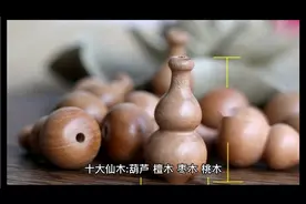 十大仙木之桃木视频封面