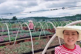 种多肉也太随意了，比种菜还方便，关键还能长很漂亮视频封面