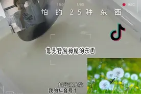 鬼最怕的东西👻专:@樱校若曦月 😘视频封面