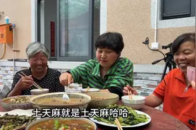 农村三姐妹的吵闹日常，加上双胞胎婆婆妈的调侃，简直笑到抽筋视频封面