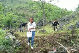 一把翻锹翻出的是新篇章，一把锄头种下的是希望，愿我们收获幸福视频封面