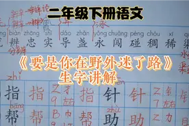 二下《要是你在野外迷了路》生字讲解，辨、辫、辩，你会区分吗？视频封面