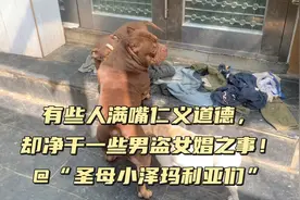 @所有圣母小泽玛利亚们！你们天天骂我对狗不好，请问：良心痛吗视频封面