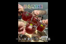 什么是伴侣？视频封面