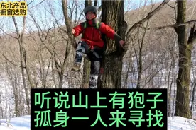 有人告诉我山上有狍子，我孤身一人上山寻找！视频封面