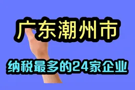 广东潮州市纳税最多的24家企业视频封面