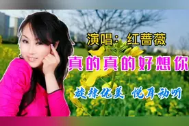 太好听了！红蔷薇一首甜密情歌《真的真的好想你》，好听醉了！视频封面