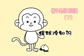 猴子是我们新的战略资源（下），好好爱护大师兄！视频封面