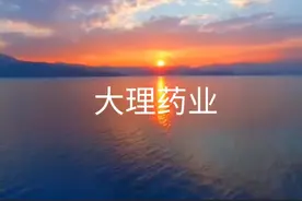 大理药业股份有限公司介绍视频封面