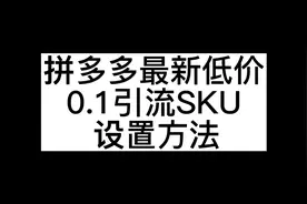 最新低价0.1引流SKU设置方法